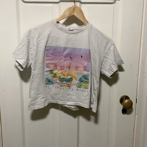 Zara summer Venice crop top